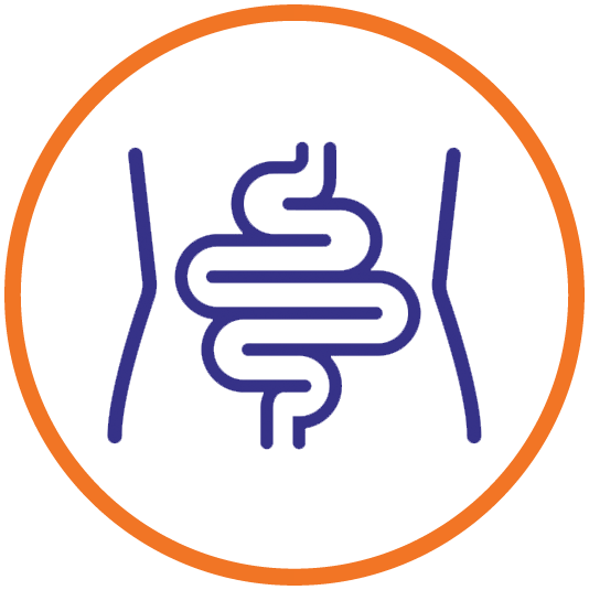 Urinary Health and Digestive System